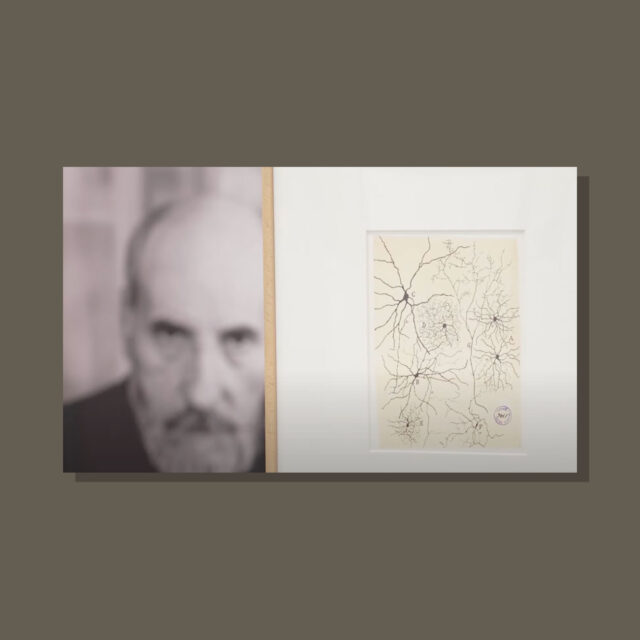 documental en Madrid