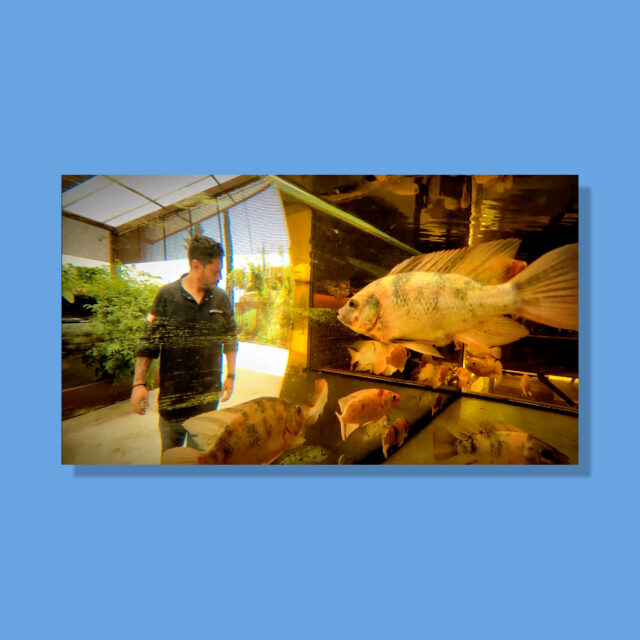 movistar+ cocina salvaje t2